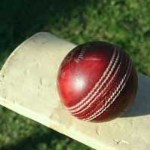 Cricket Bars in Newcastle image